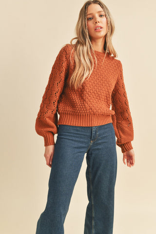 Brick Brown Mixed Pointelle Puff Sleeve Sweater