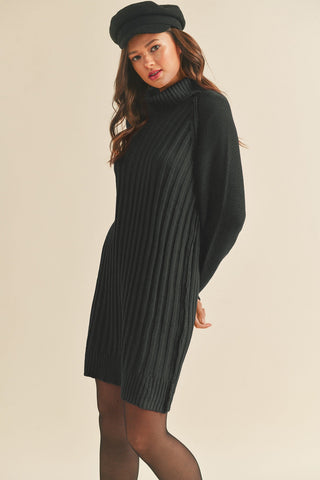 Black Turtleneck Sweater Dress