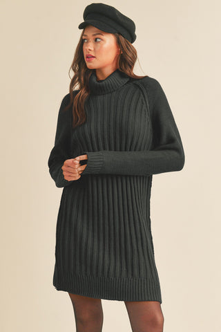 Black Turtleneck Sweater Dress